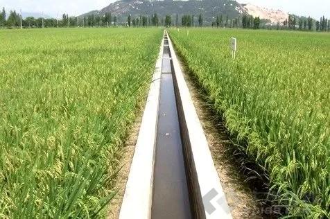 农田水利工程与生态系统发展研究