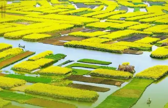 保护土壤、地下水和农业农村生态环境