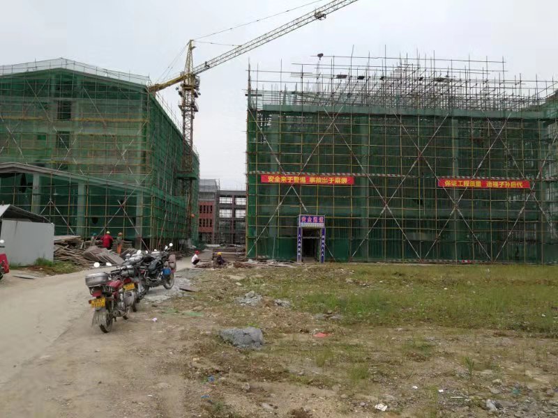 国务院办公厅关于全面开展工程建设项目审批制
